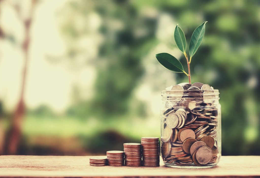 concept growth money and tree on coin glass jar saving and investment